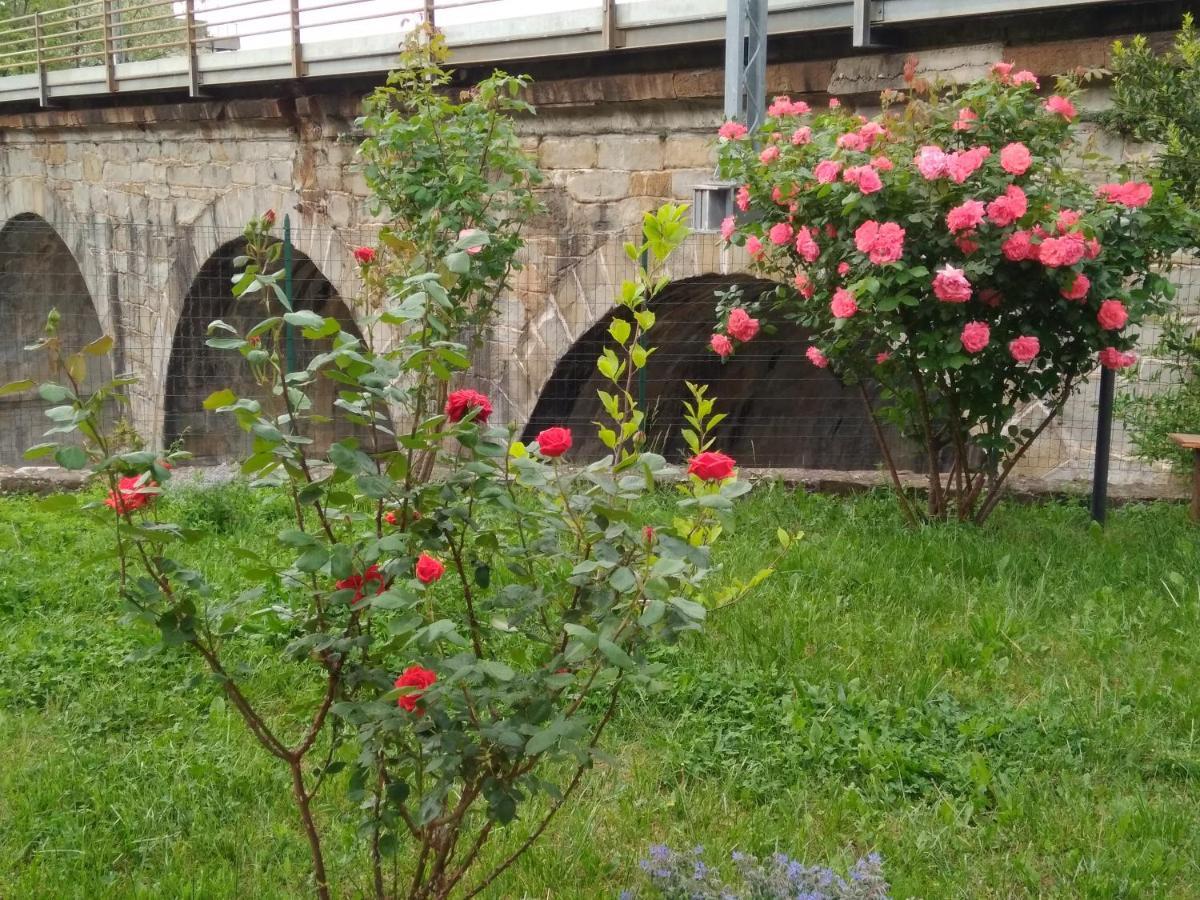 Alle Rose Barcolane Trieszt Kültér fotó